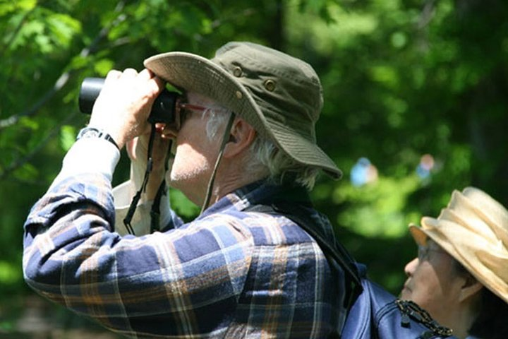 Birdwatching Walk in Thalangama Wetland from Colombo - Photo 1 of 12